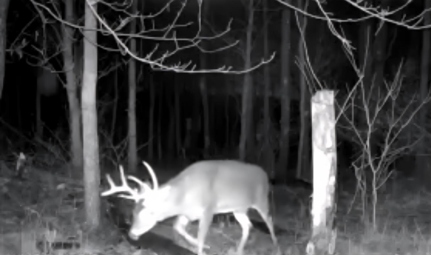 0 North Hogan Road Aurora, IN 47001 - Photo 4 of 34