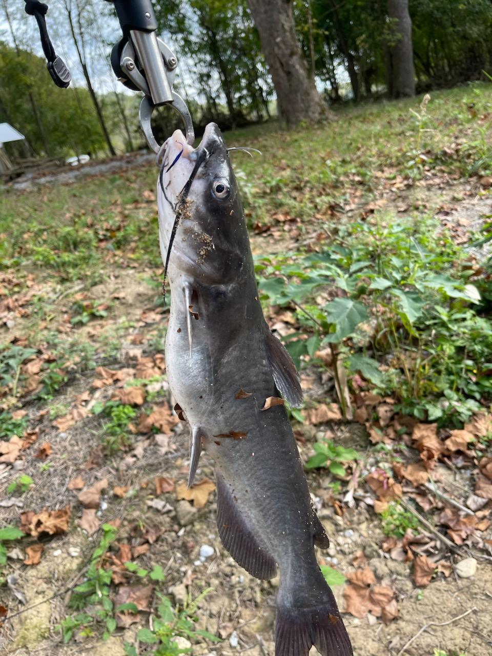 0 North Hogan Road Aurora, IN 47001 - Photo 7 of 34