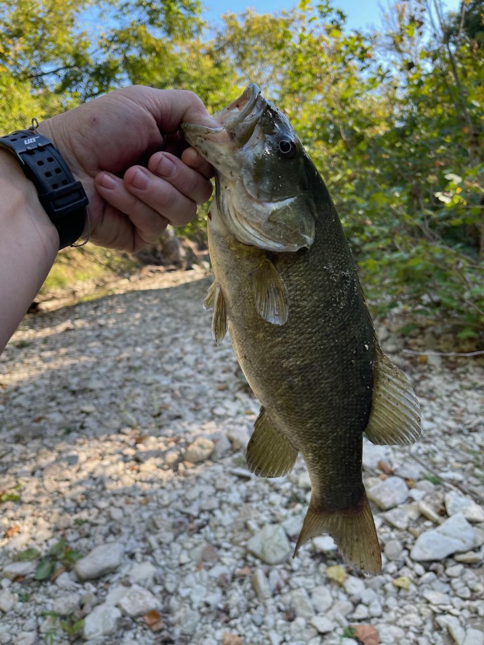 0 North Hogan Road Aurora, IN 47001 - Photo 8 of 34
