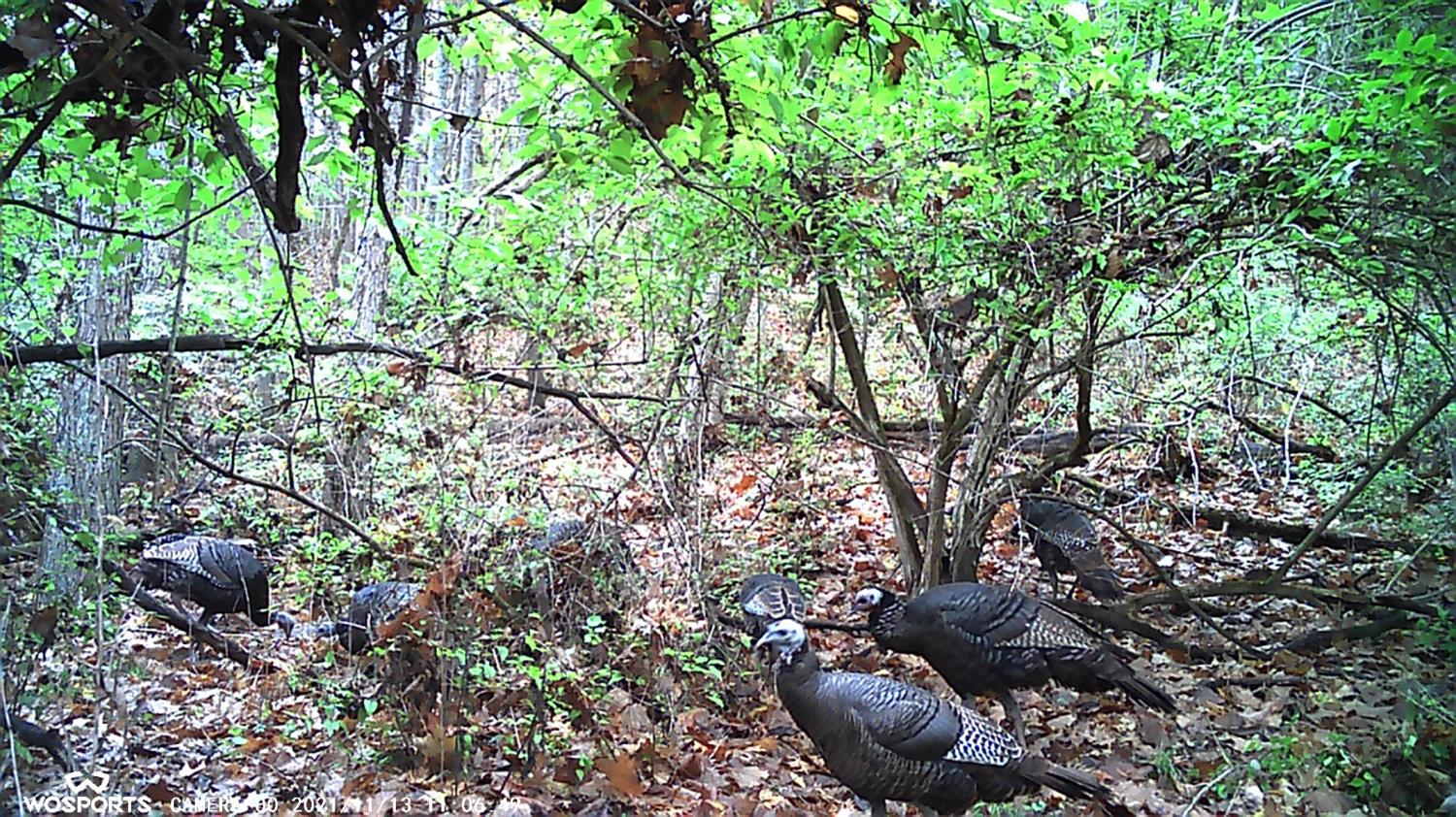 0 North Hogan Road Aurora, IN 47001 - Photo 9 of 34