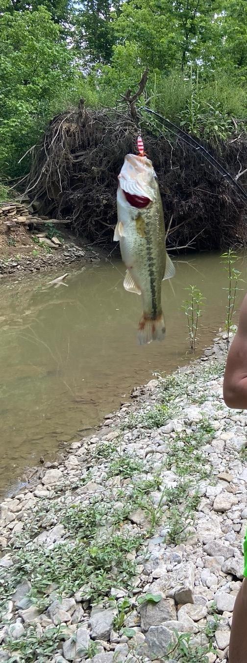 0 North Hogan Road Aurora, IN 47001 - Photo 10 of 34