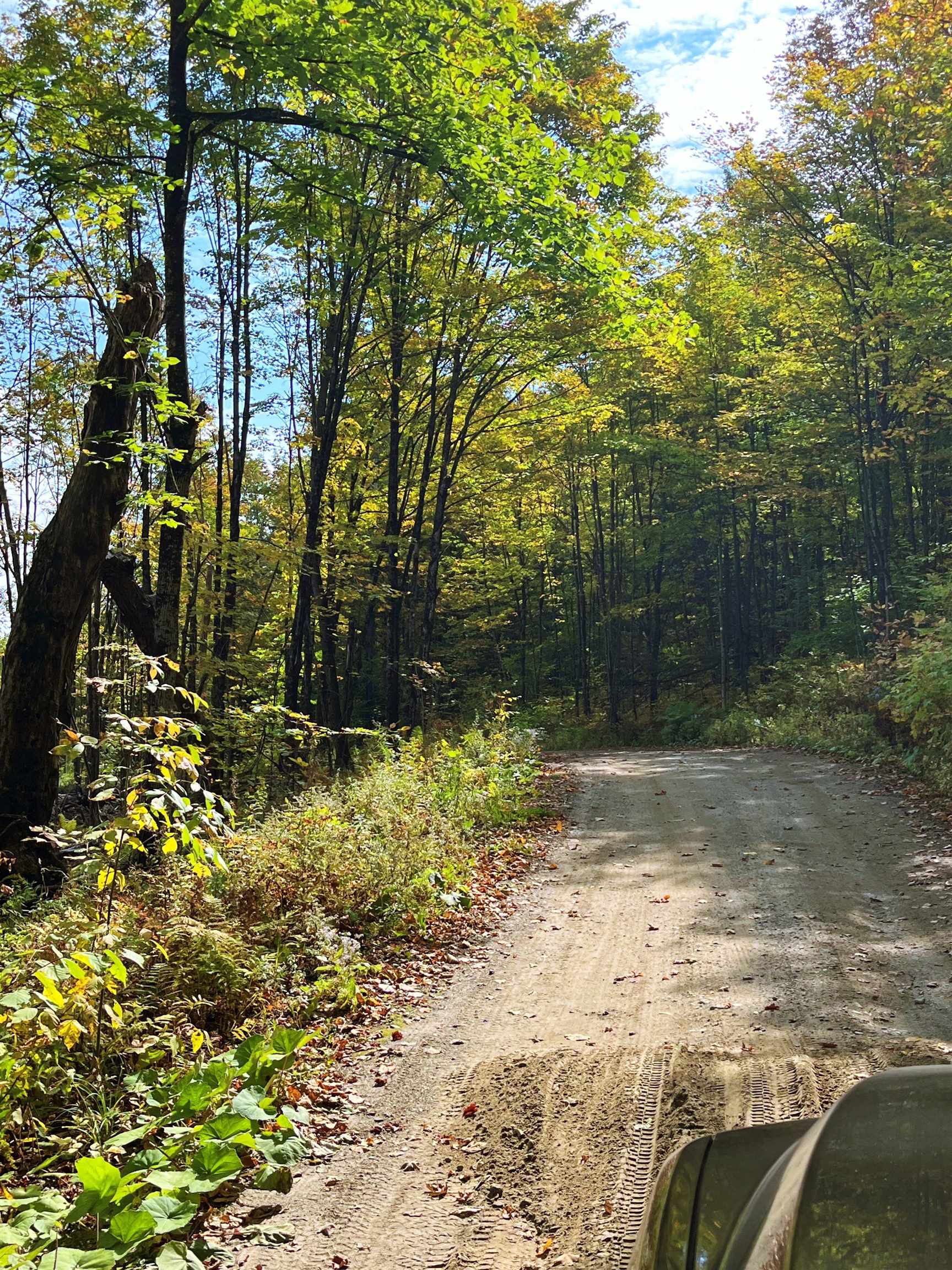 842 Gibbs Road Newport Town, VT 05857 - Photo 11 of 16