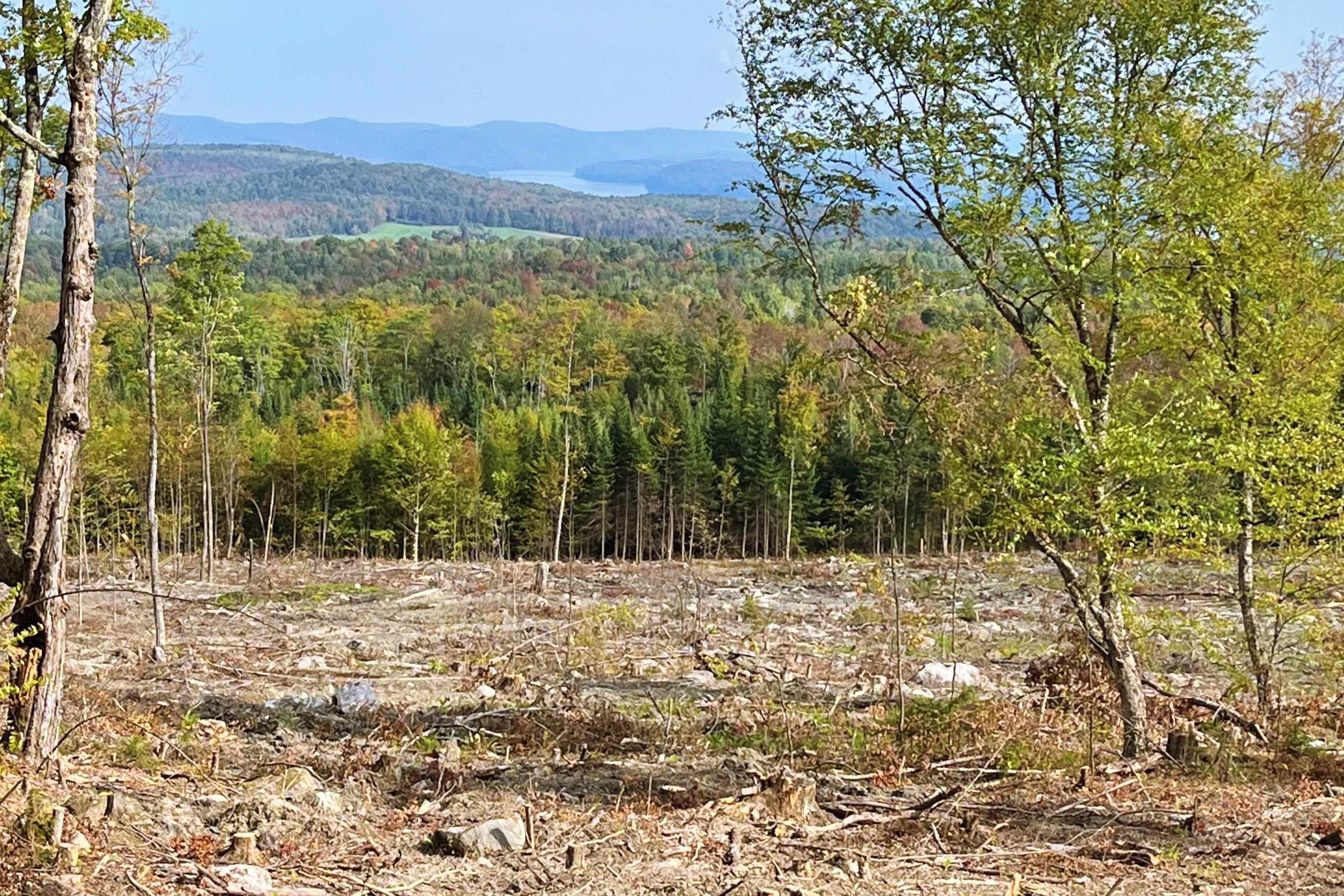842 Gibbs Road Newport Town, VT 05857 - Photo 14 of 24