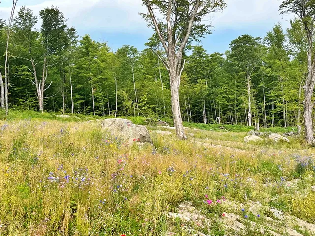 $179,000 | 842 Gibbs Road, Newport Town, VT 05857