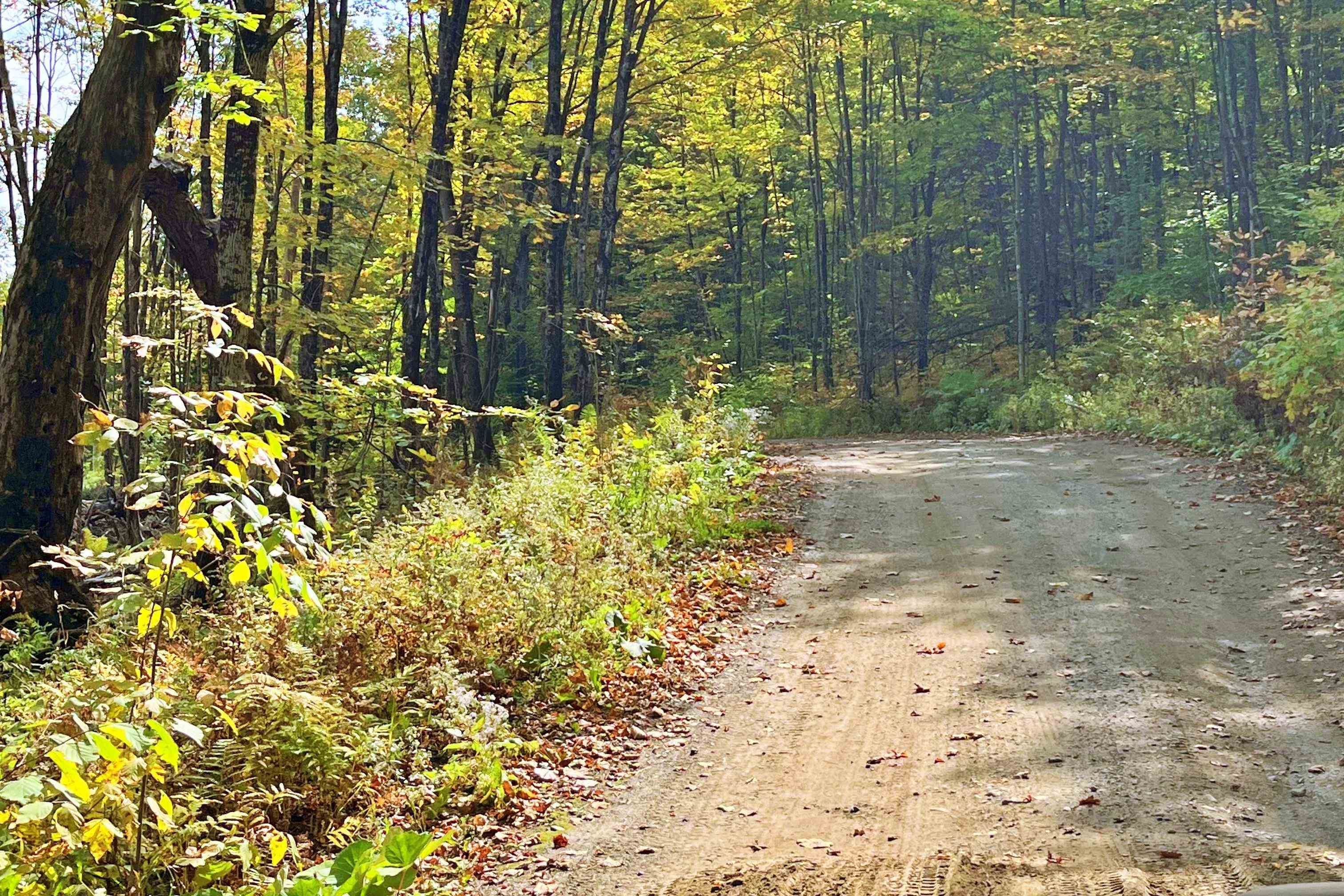 842 Gibbs Road Newport Town, VT 05857 - Photo 6 of 24