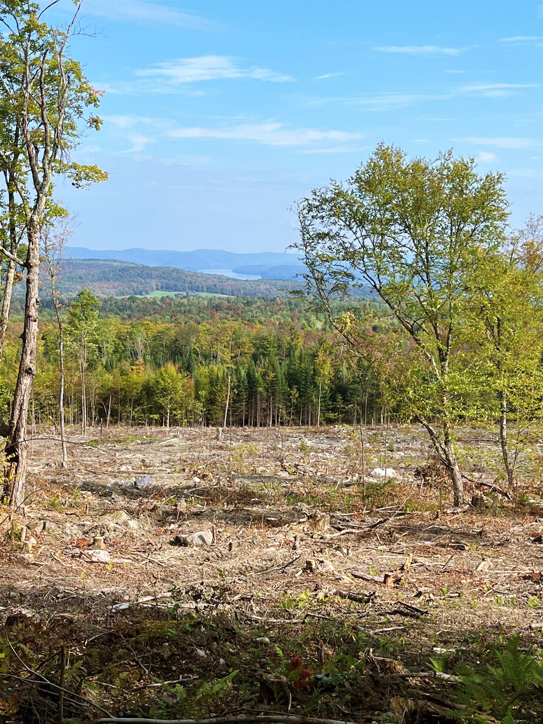 842 Gibbs Road Newport Town, VT 05857 - Photo 7 of 16