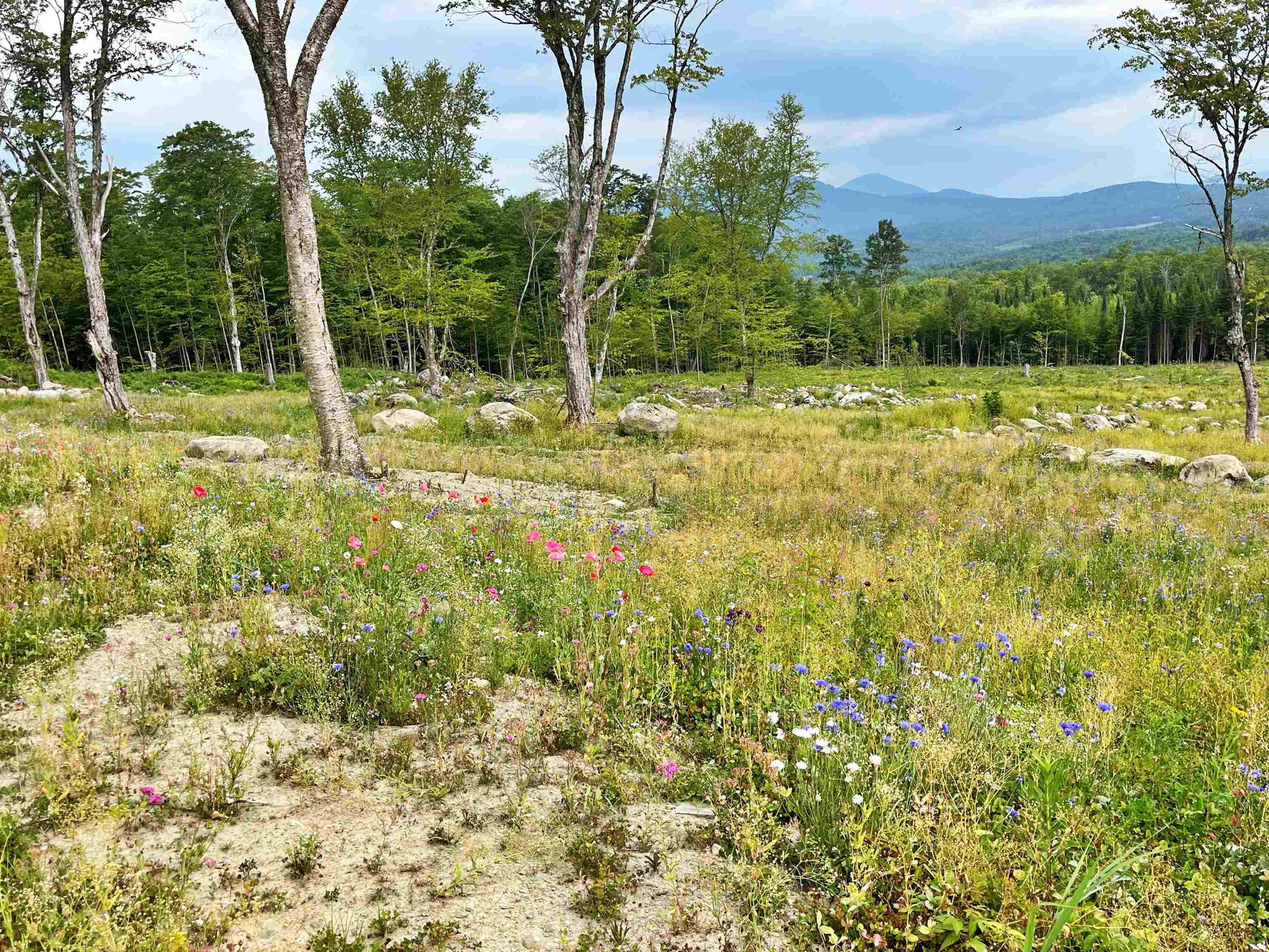 842 Gibbs Road Newport Town, VT 05857 - Photo 7 of 24