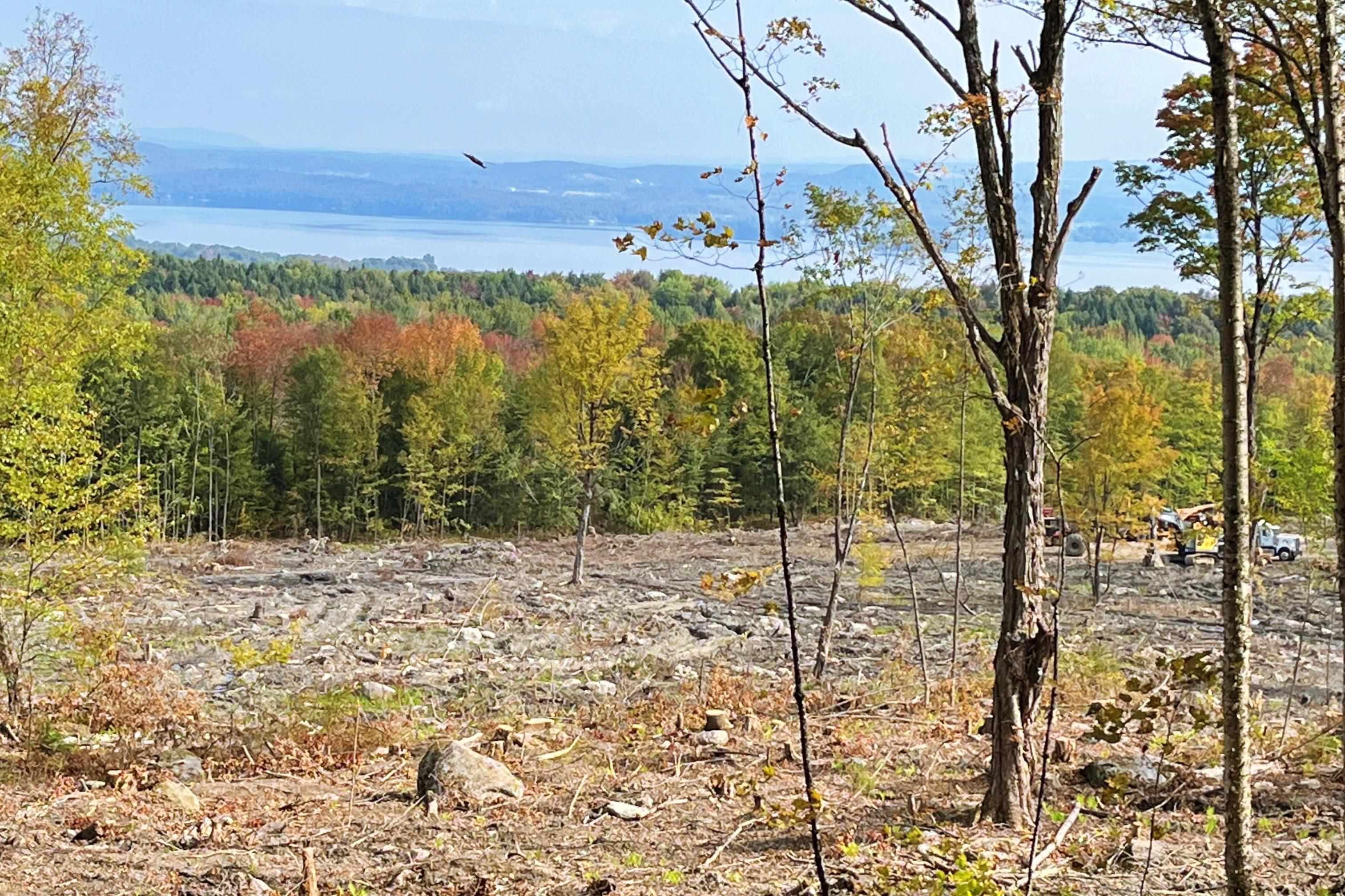 842 Gibbs Road Newport Town, VT 05857 - Photo 8 of 16