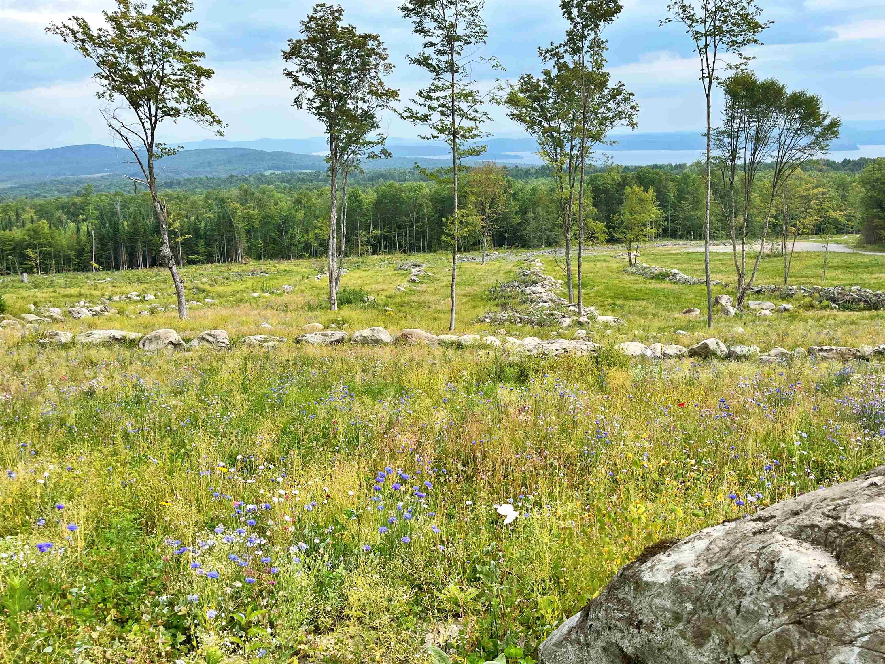 842 Gibbs Road Newport Town, VT 05857 - Photo 8 of 24