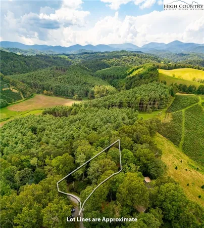 a view of yard with green space