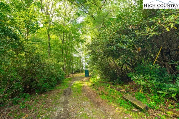a view of a field with trees in the background