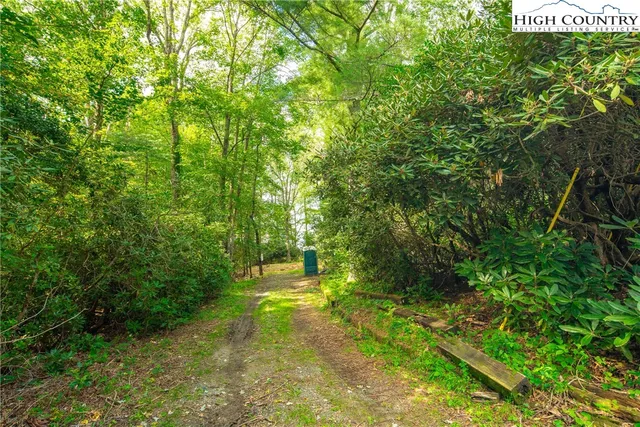 a view of a field with trees in the background