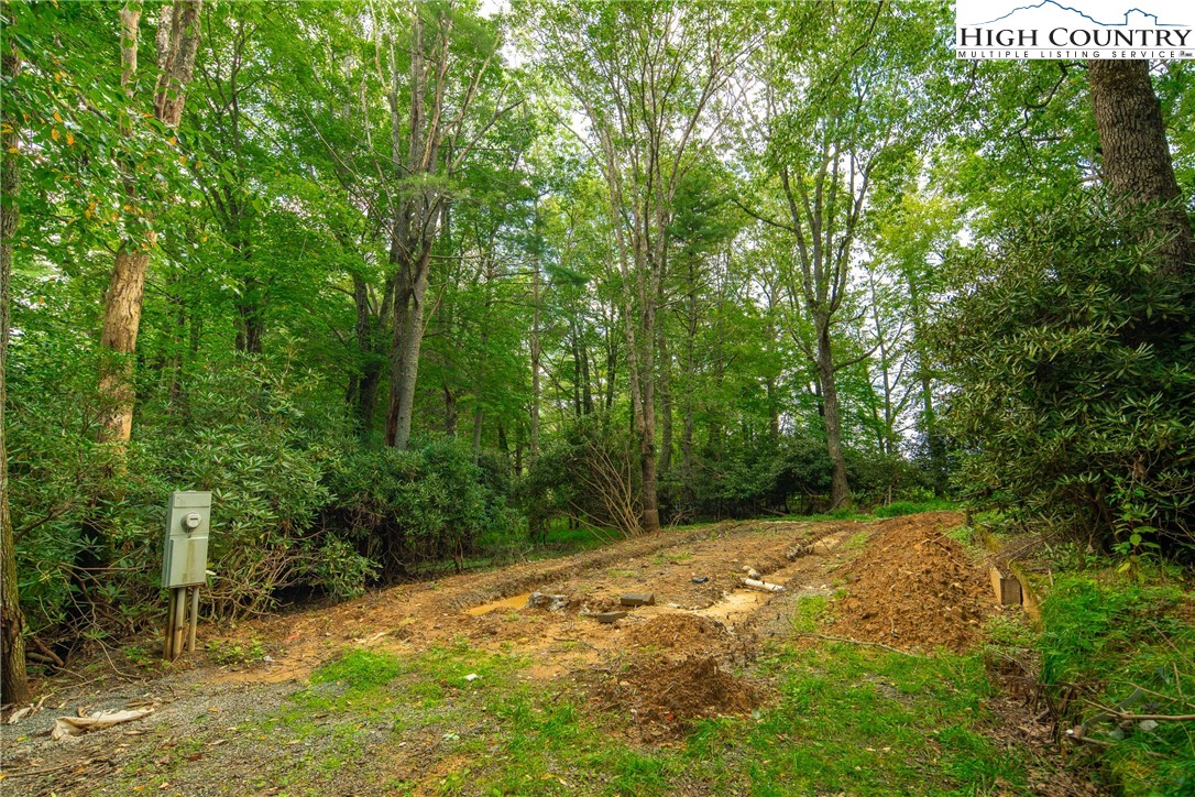 490 Laurelwood Lane Boone, NC 28607 - Photo 47 of 50 a view of a field with trees in the background
