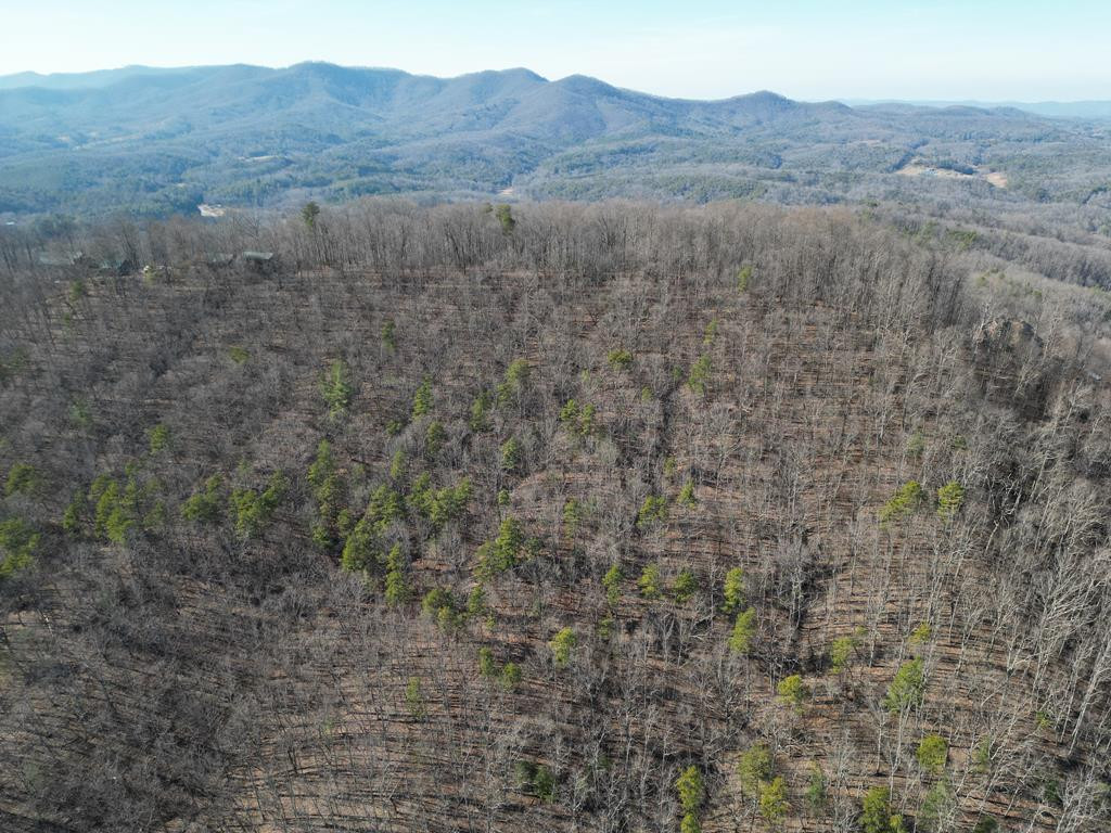 20.05-ac Treehouse Trail Murphy, NC 28906 - Photo 13 of 14