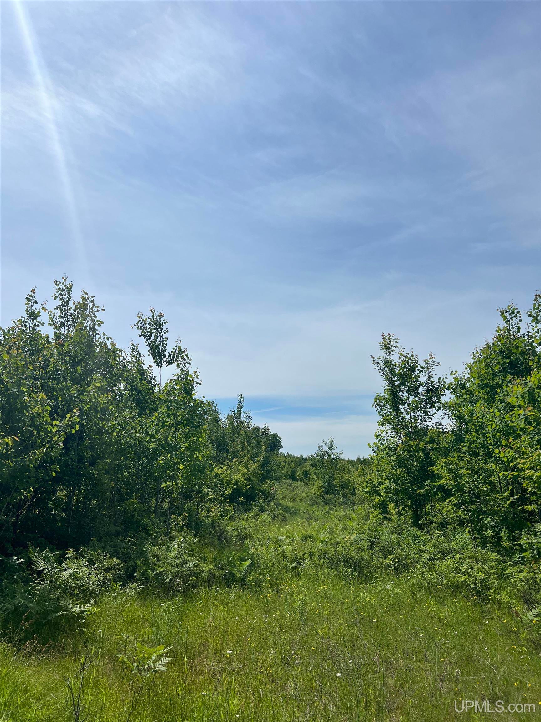 Tbd Chalk Hills Road Daggett, MI 49821 - Photo 10 of 59 Gallery Image 10
