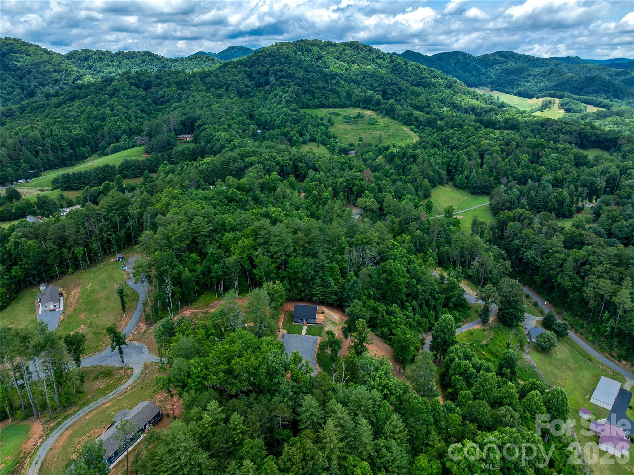 143 Fox Grape Hollow Road Mars Hill, NC 28754 - Photo 35 of 37