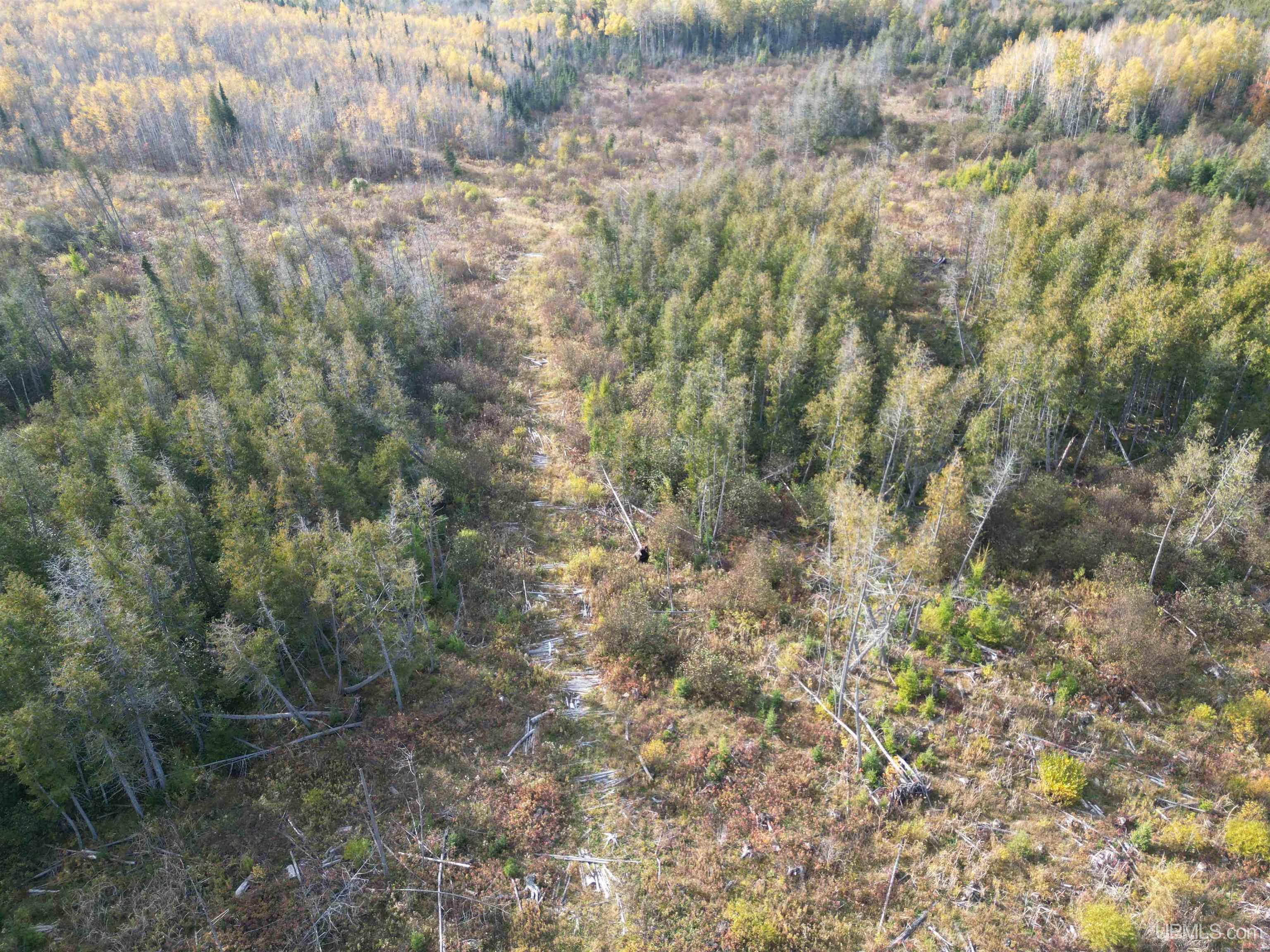 80 Rd Vulcan Mi 49892 Road Vulcan, MI 49892 - Photo 36 of 49 Gallery Image 36