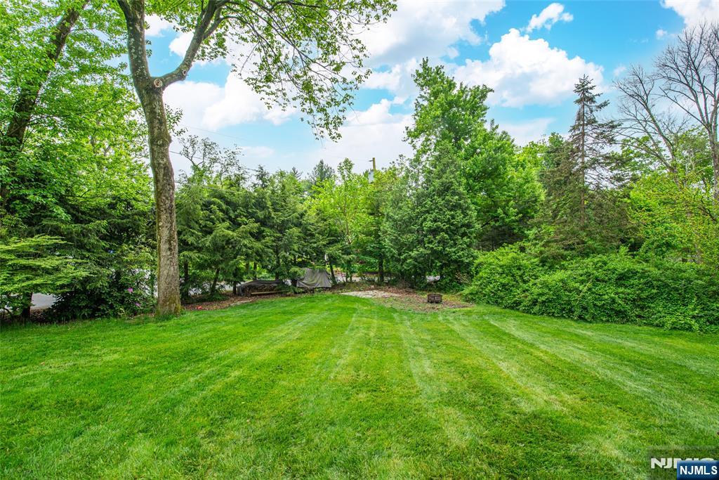 12 Yorke Road Mountain Lakes, NJ 07046 - Photo 31 of 31