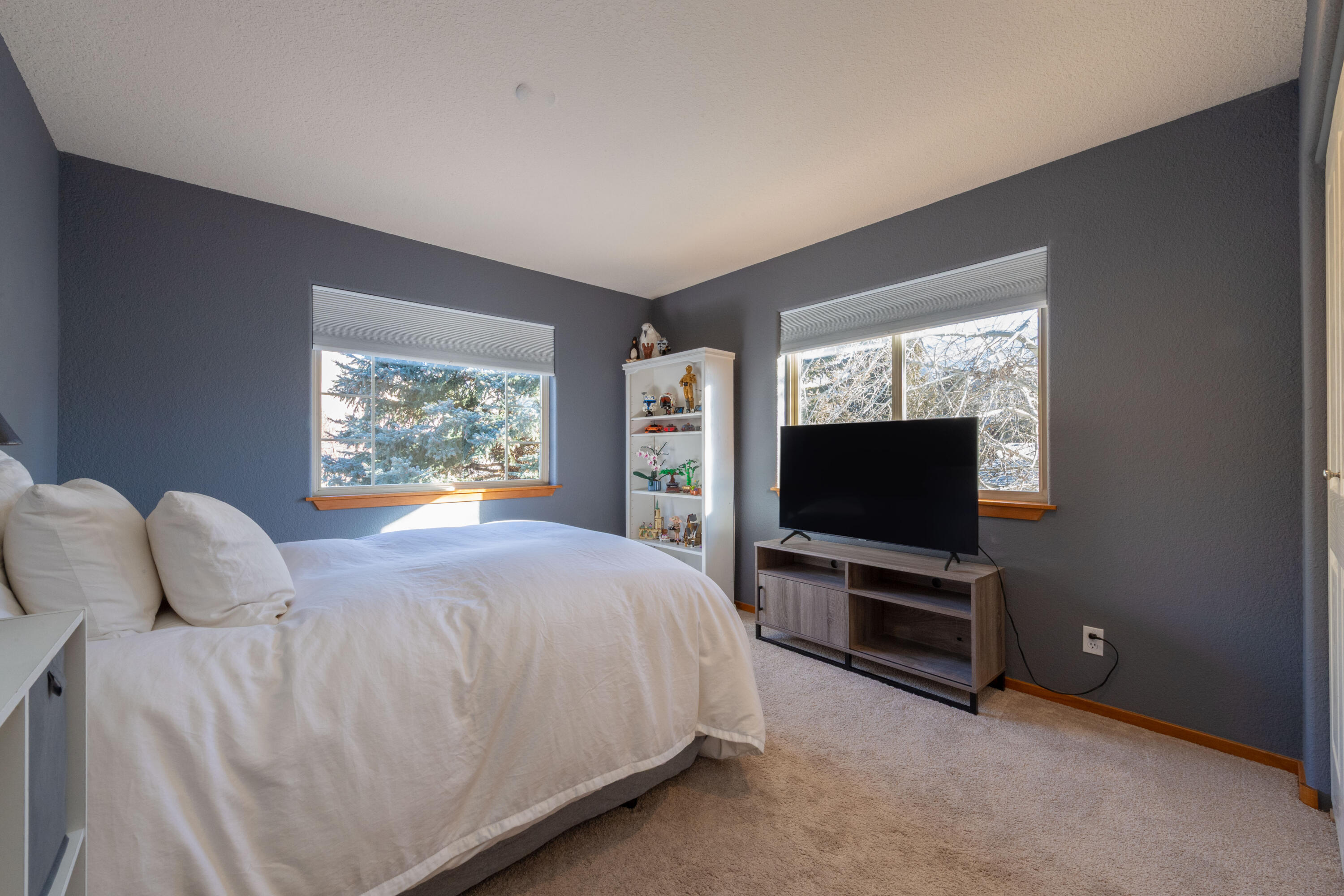 651 Whitetail Drive Hailey, ID 83333 - Photo 15 of 21 3rd Bedroom