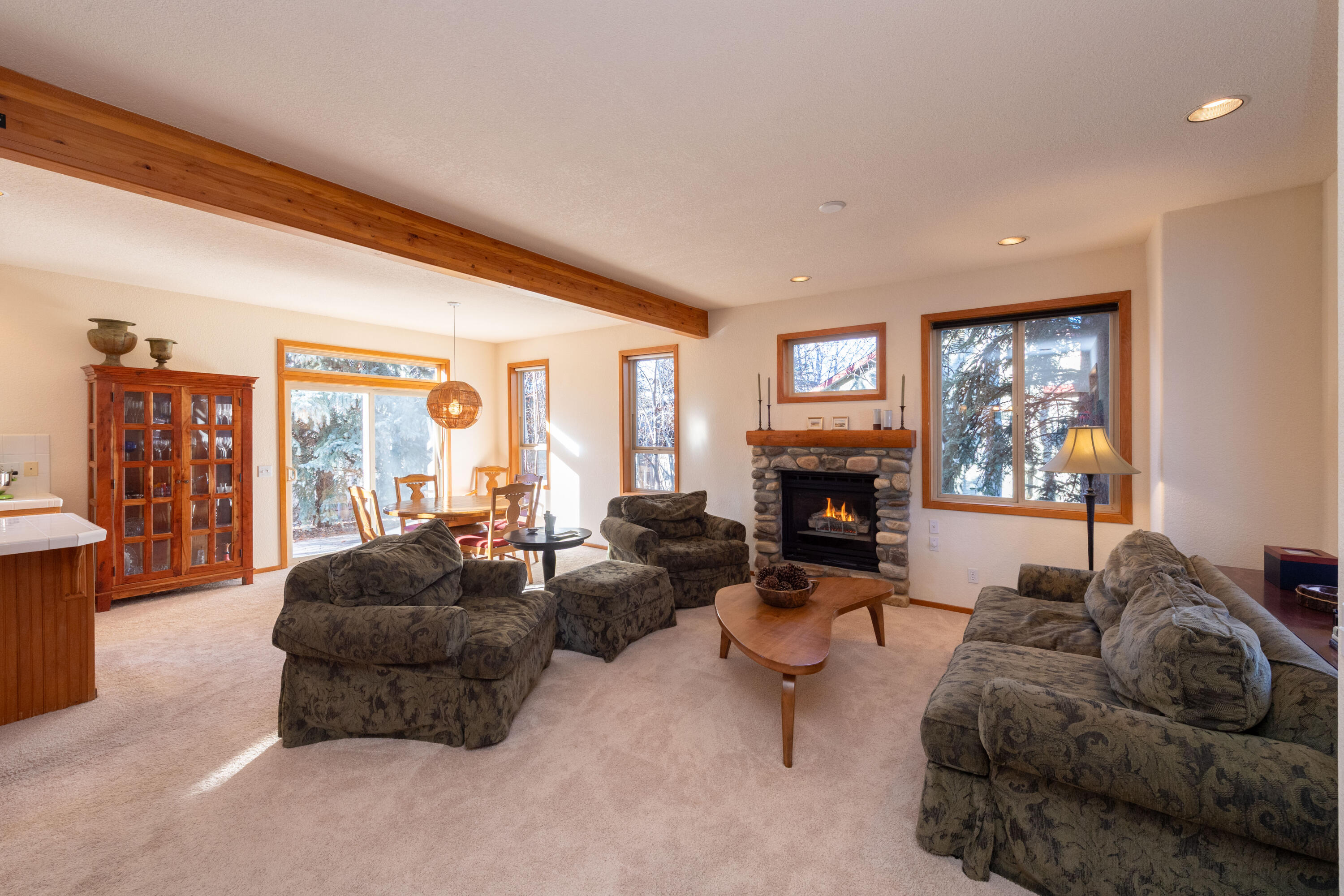 651 Whitetail Drive Hailey, ID 83333 - Photo 9 of 21 Living Area