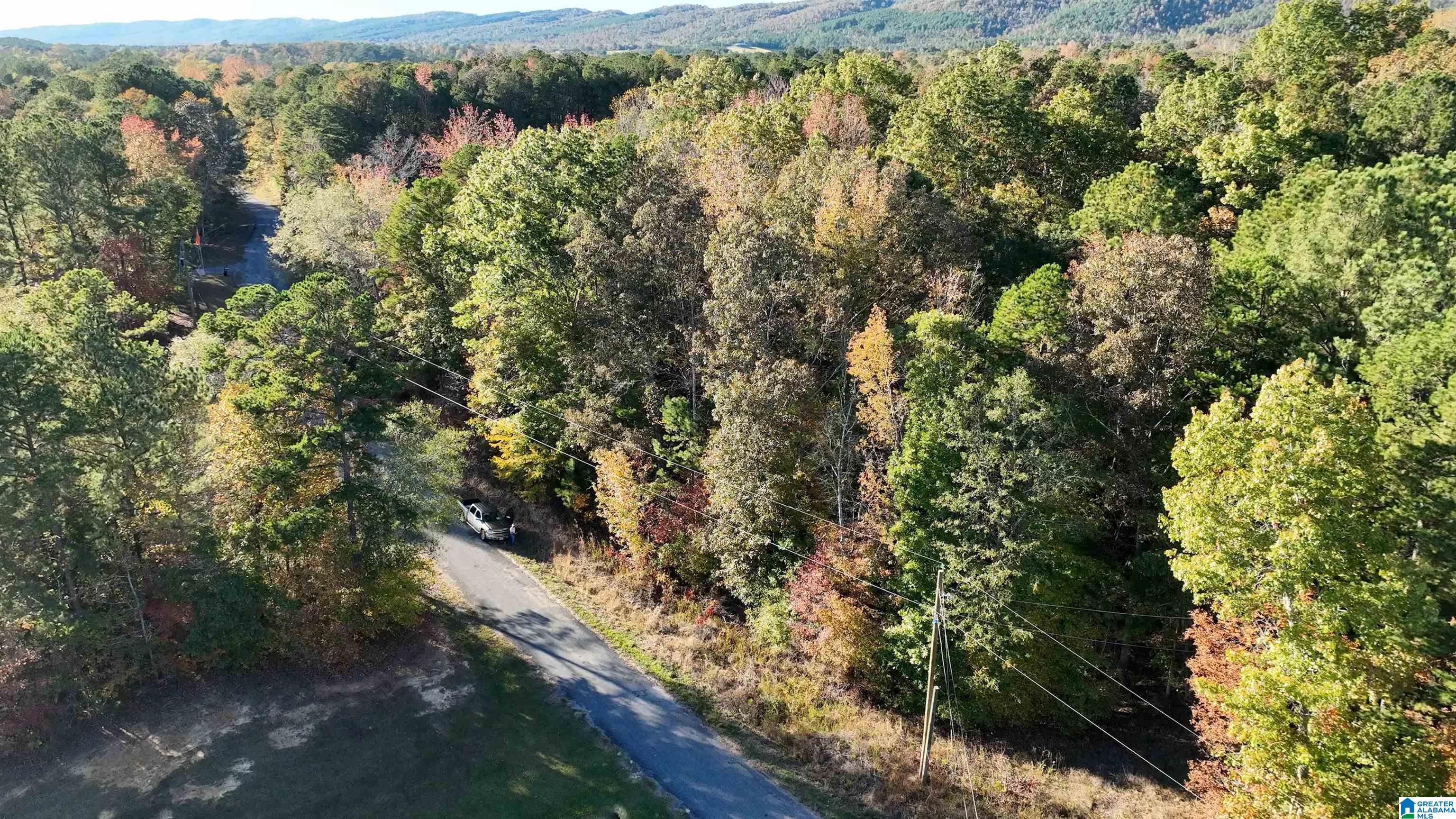 0 Waldrop Road, Unit 10 82 ACRES Ashville, AL 35953 - Photo 7 of 22
