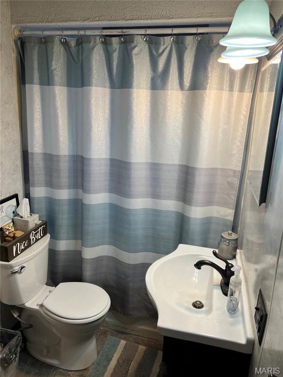 803 North Sparta Street Steeleville, IL 62288 - Photo 25 of 47