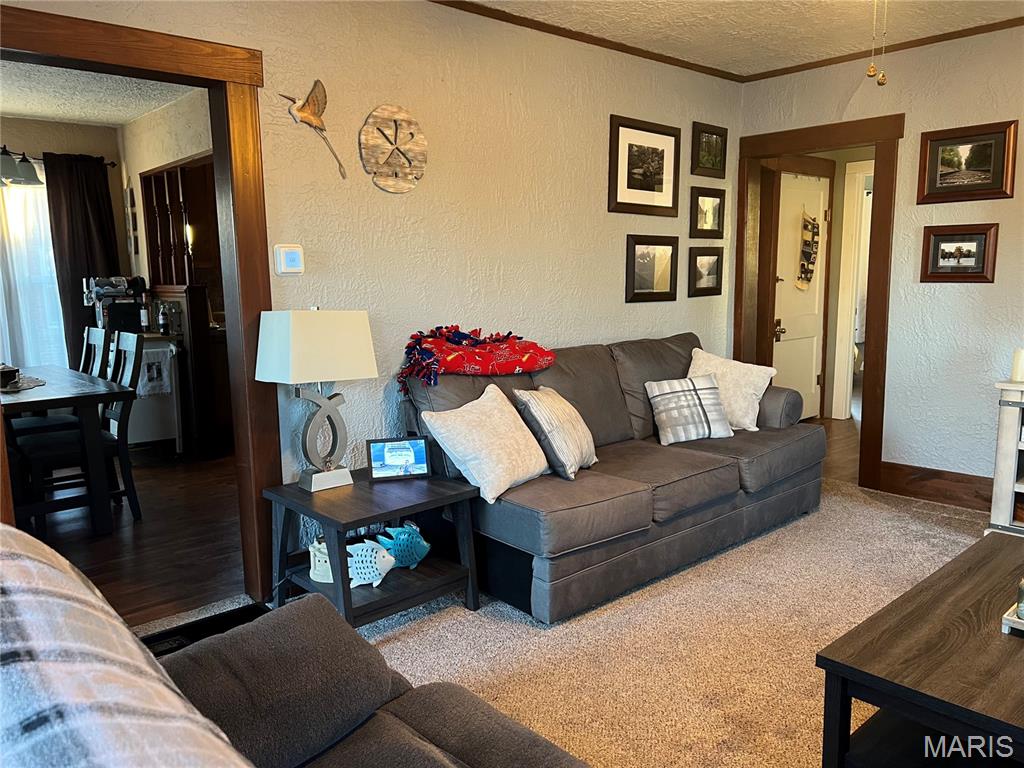 803 North Sparta Street Steeleville, IL 62288 - Photo 10 of 47