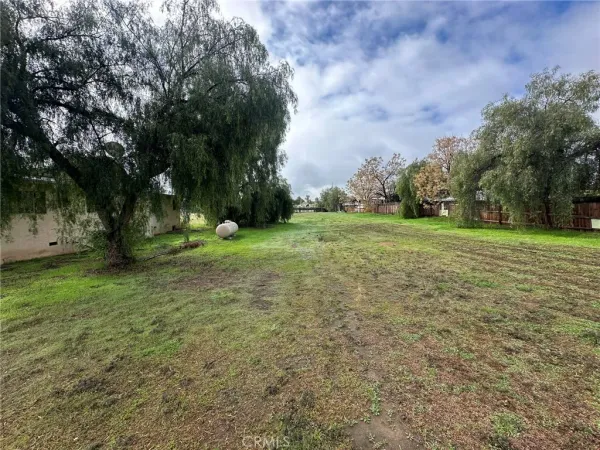 a view of a field with trees