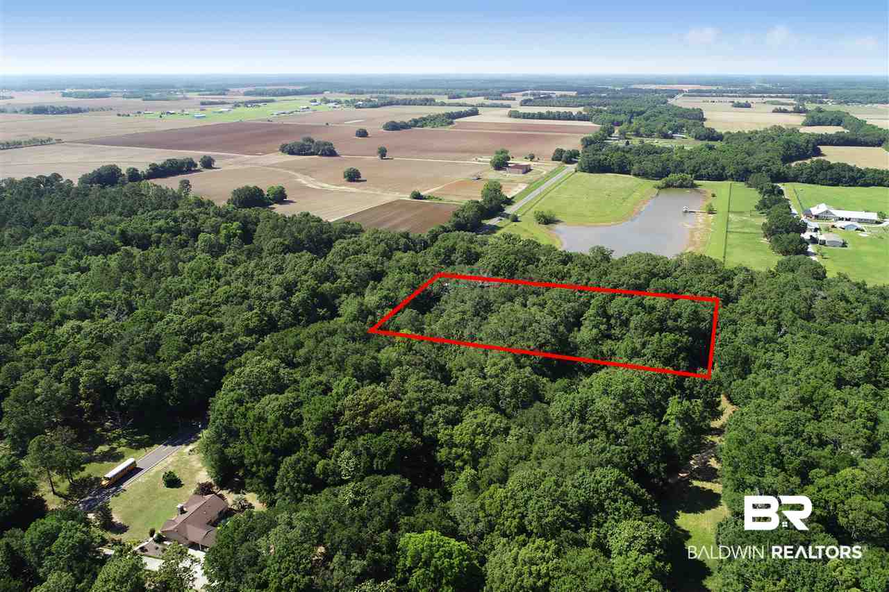 12910 County Road 49 Foley, AL 36535 - Photo 3 of 6