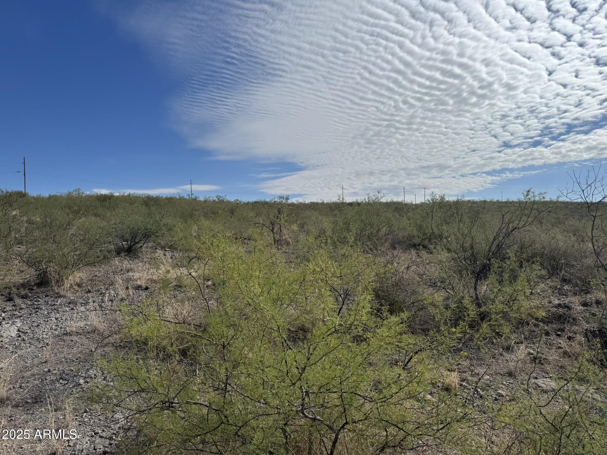 41-acre East Ridge Place, Unit 159 Tombstone, AZ 85638 - Photo 10 of 17 IMG_4466
