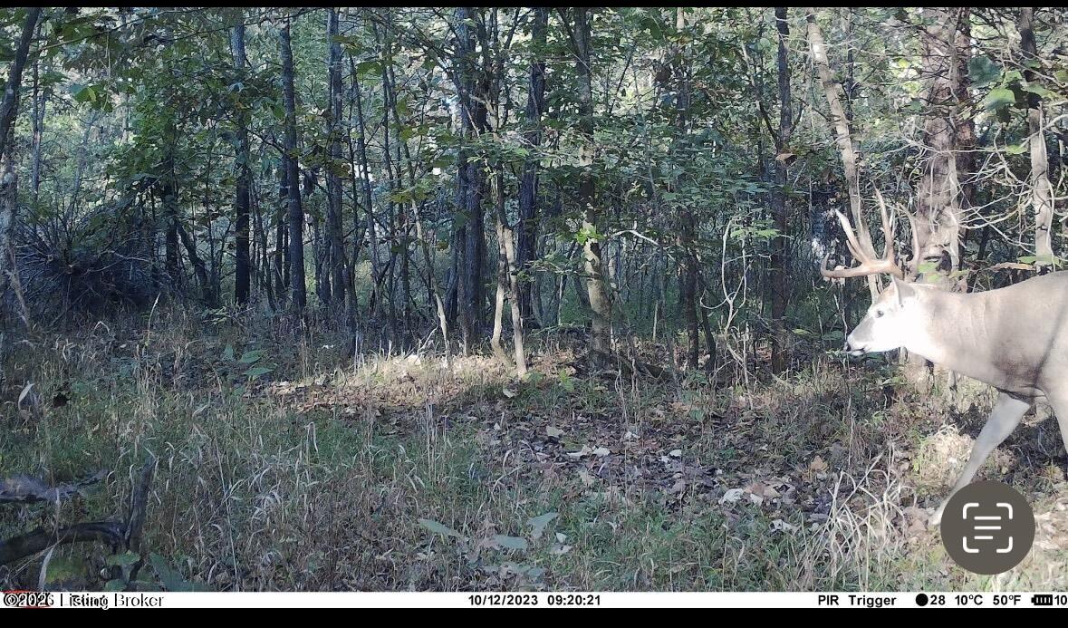 0 Stewart Road Lebanon Junction, KY 40150 - Photo 23 of 106 #21