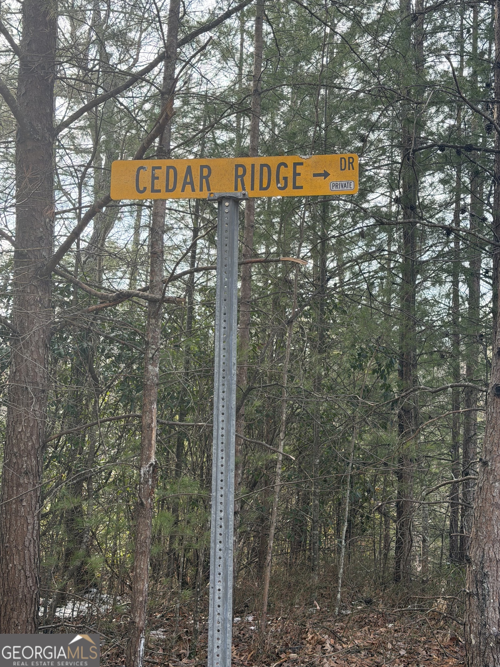 0 Cedar Ridge Drive Clayton, GA 30525 - Photo 2 of 6