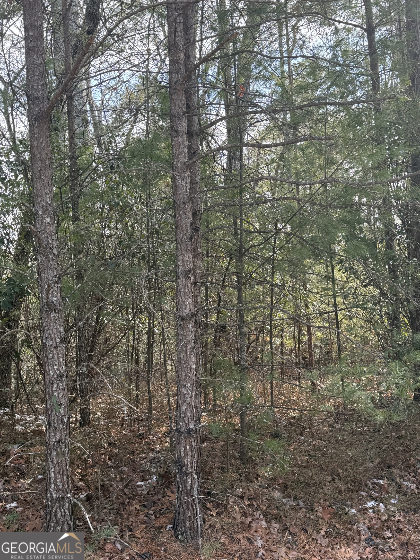 0 Cedar Ridge Drive Clayton, GA 30525 - Photo 5 of 6 a bathroom with a shower