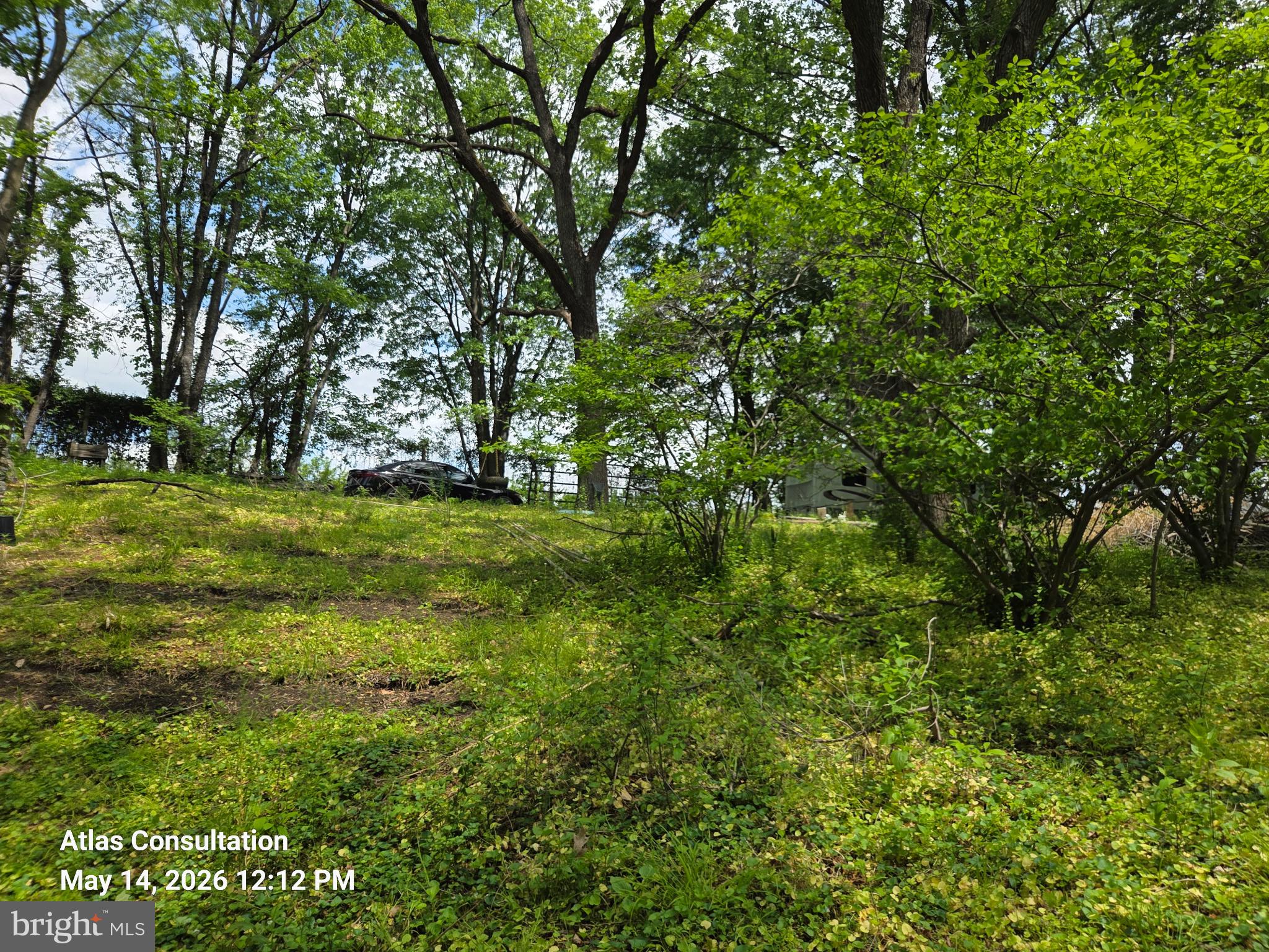 1475 Langhorne Yardley Road Langhorne, PA 19047 - Photo 14 of 15 Lush greenery in a serene setting.