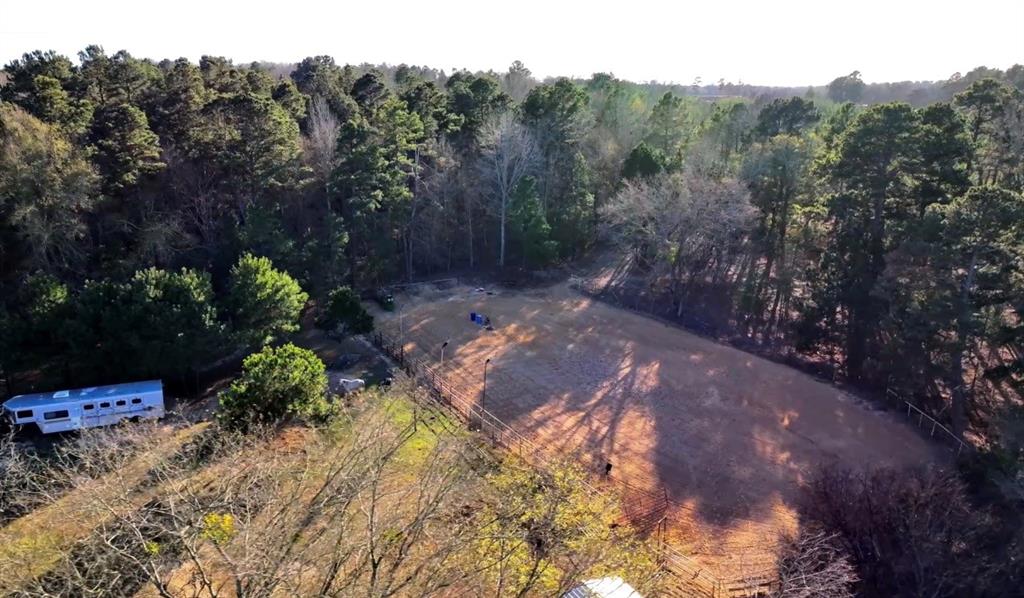 8261 County Road 381 Tyler, TX 75708 - Photo 25 of 40 a view of a yard with a tree