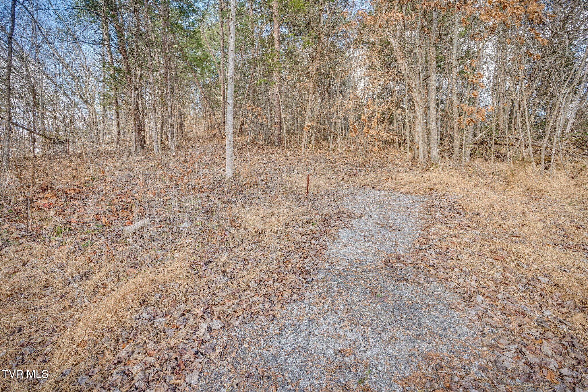 Tbd Whitehouse Road, Unit 45 Greeneville, TN 37745 - Photo 11 of 17 105