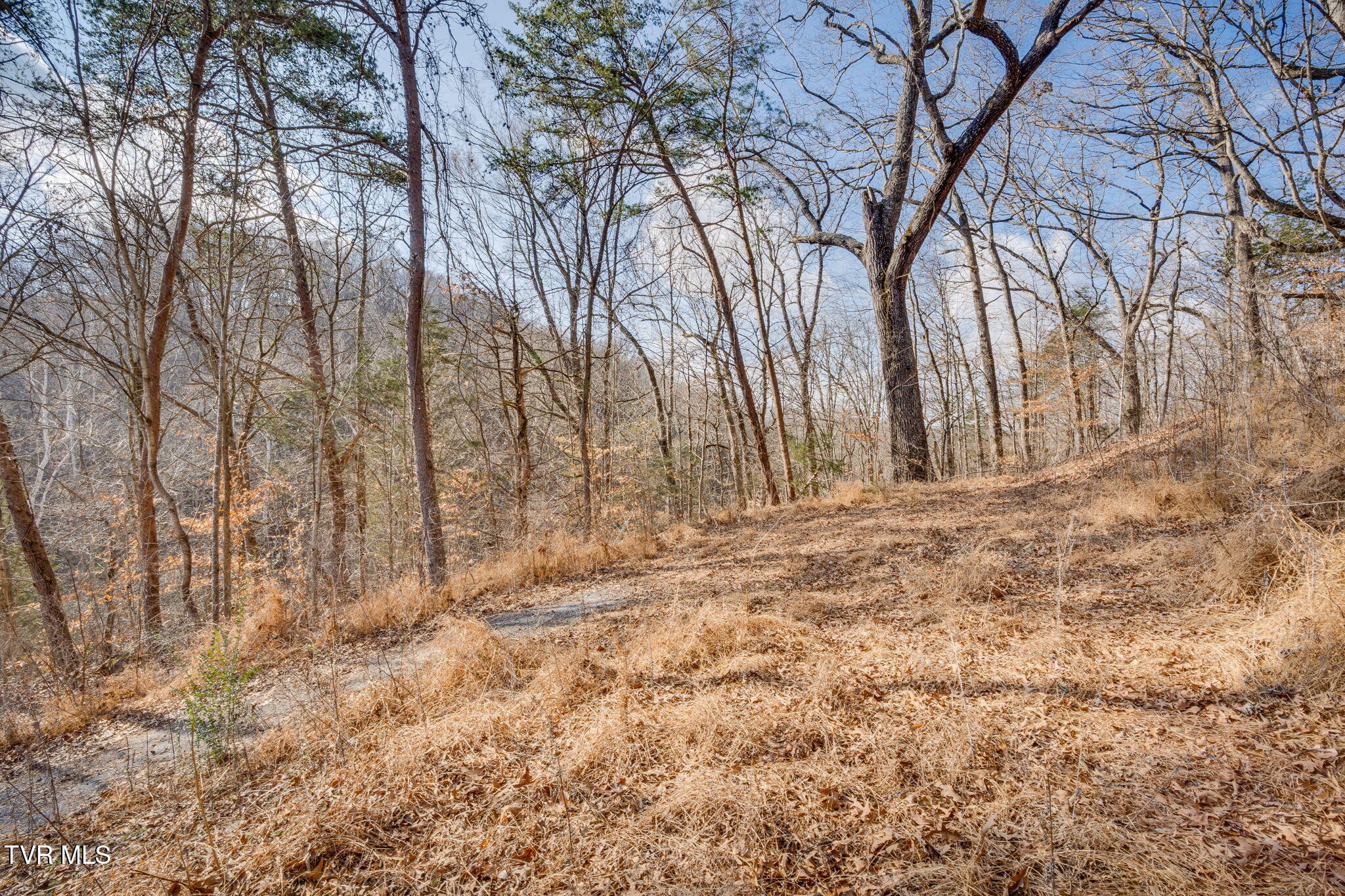 Tbd Whitehouse Road, Unit 45 Greeneville, TN 37745 - Photo 5 of 17 102