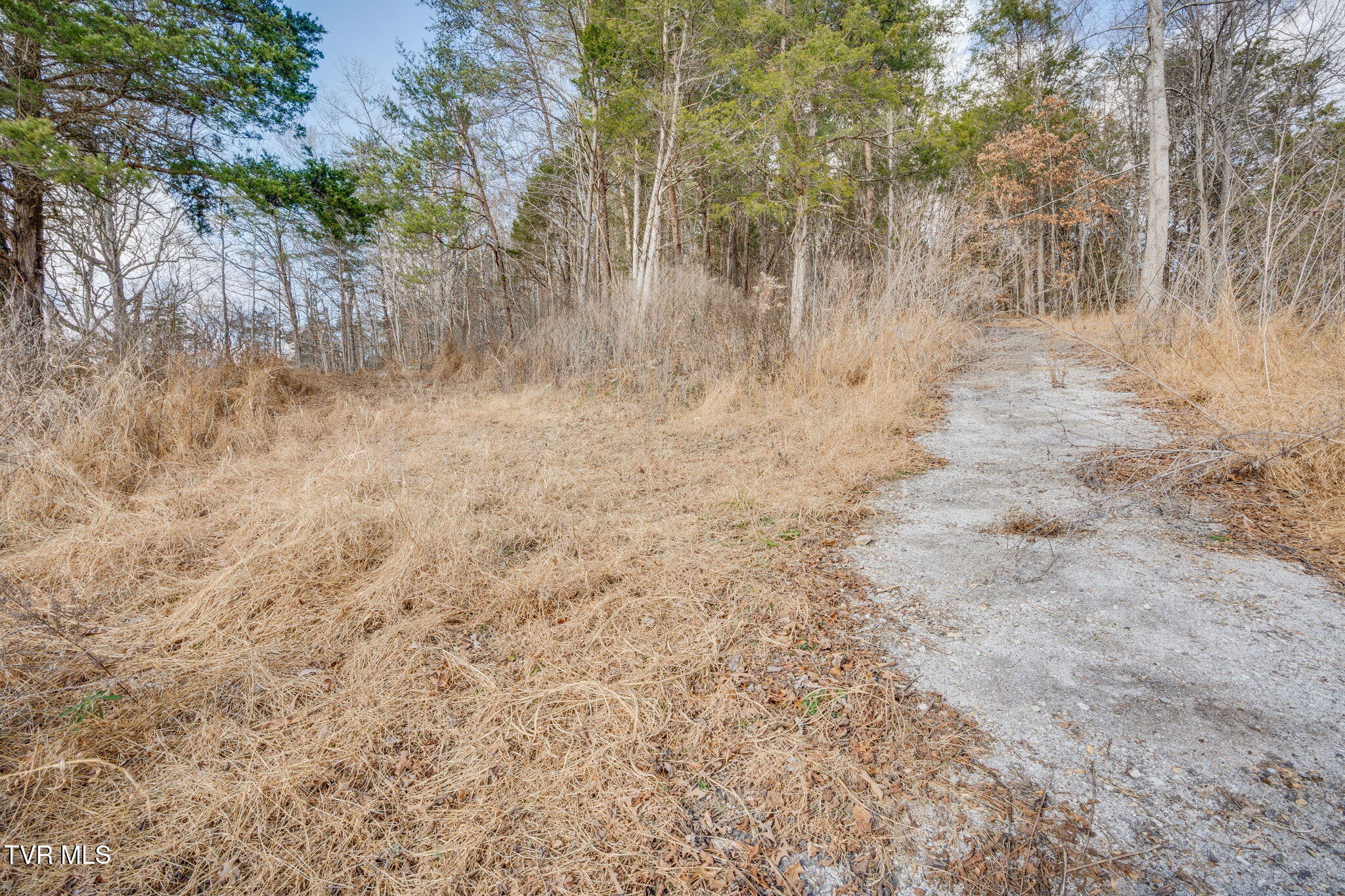 Tbd Whitehouse Road, Unit 45 Greeneville, TN 37745 - Photo 7 of 17 103