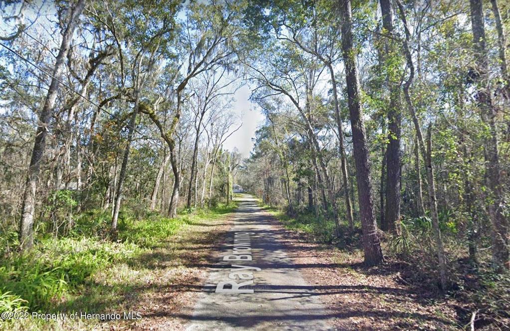 Ray Browning Road Brooksville, FL 34601 - Photo 1 of 1 Gallery Image 1