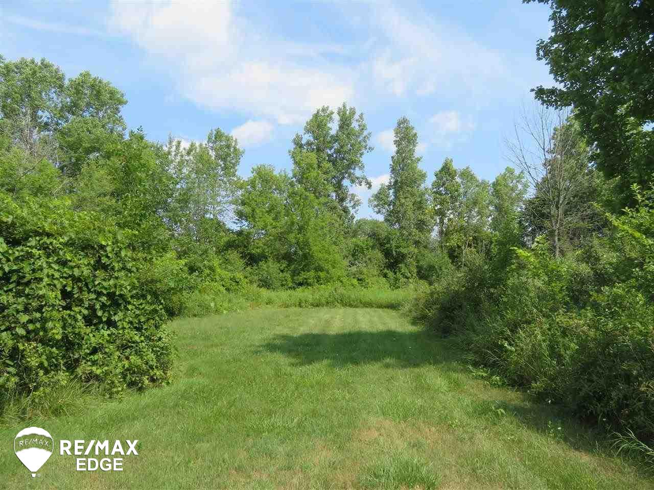 Parcel B East Wilson Road Otisville, MI 48463 - Photo 4 of 8