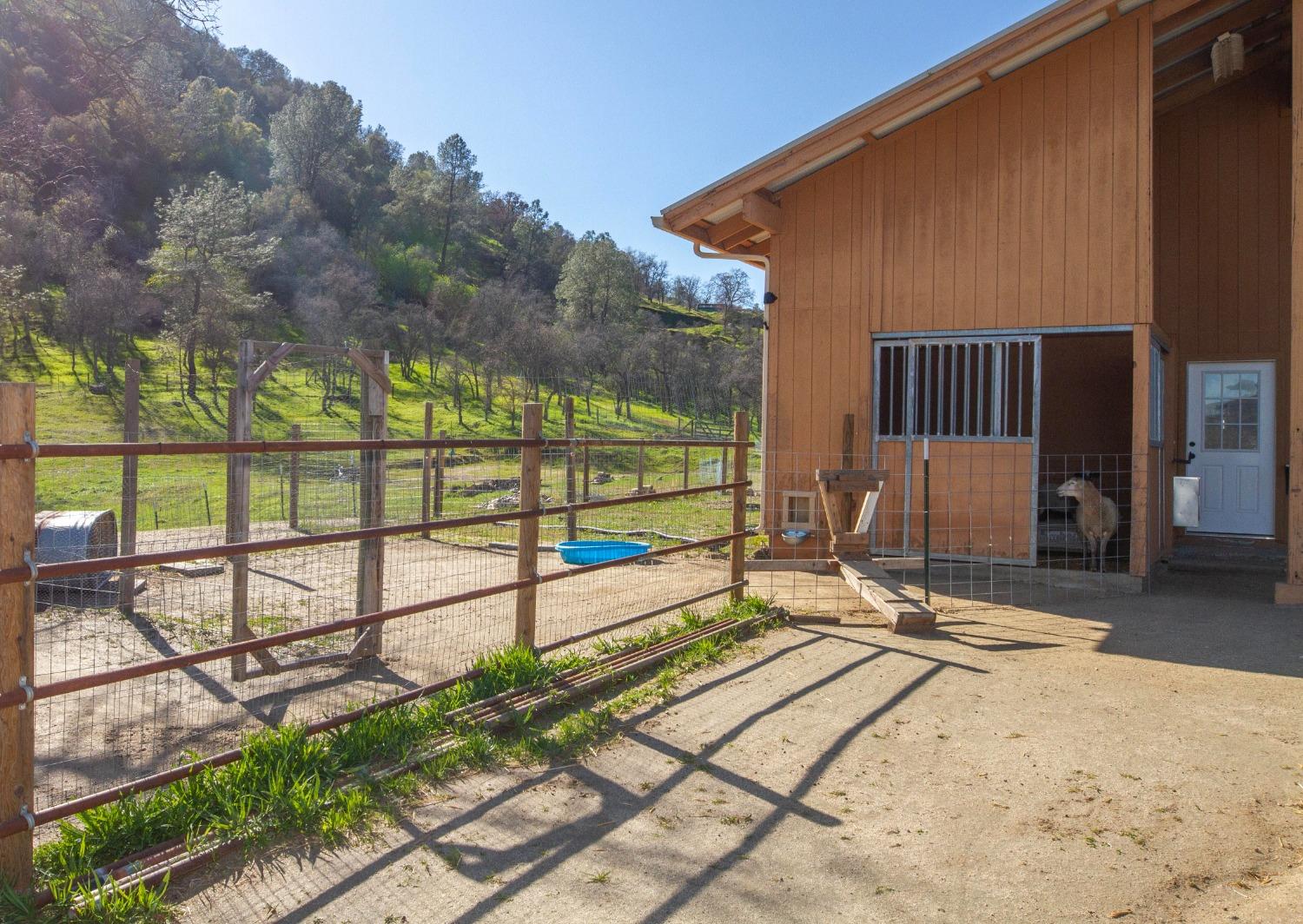 0 Apn Road, Unit 13836007 Clovis, CA 93619 - Photo 13 of 65 a view of backyard with wooden fence and large trees