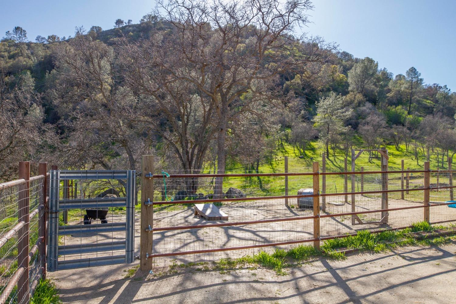 0 Apn Road, Unit 13836007 Clovis, CA 93619 - Photo 14 of 65 a view of outdoor space with garden