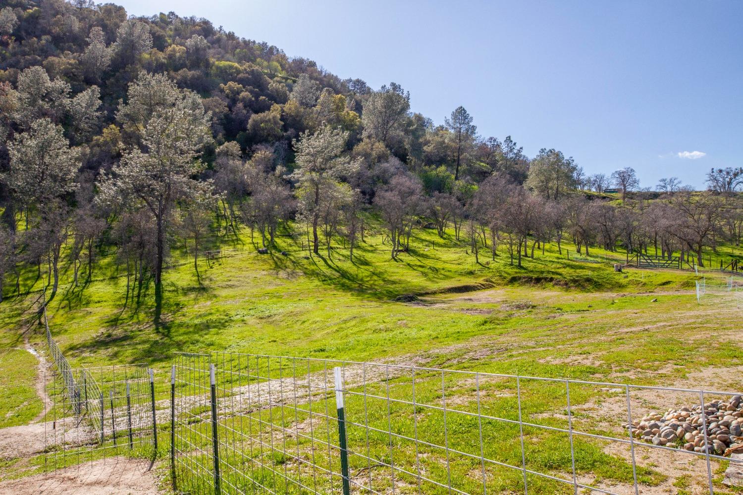 0 Apn Road, Unit 13836007 Clovis, CA 93619 - Photo 31 of 65 a view of a yard with an outdoor space