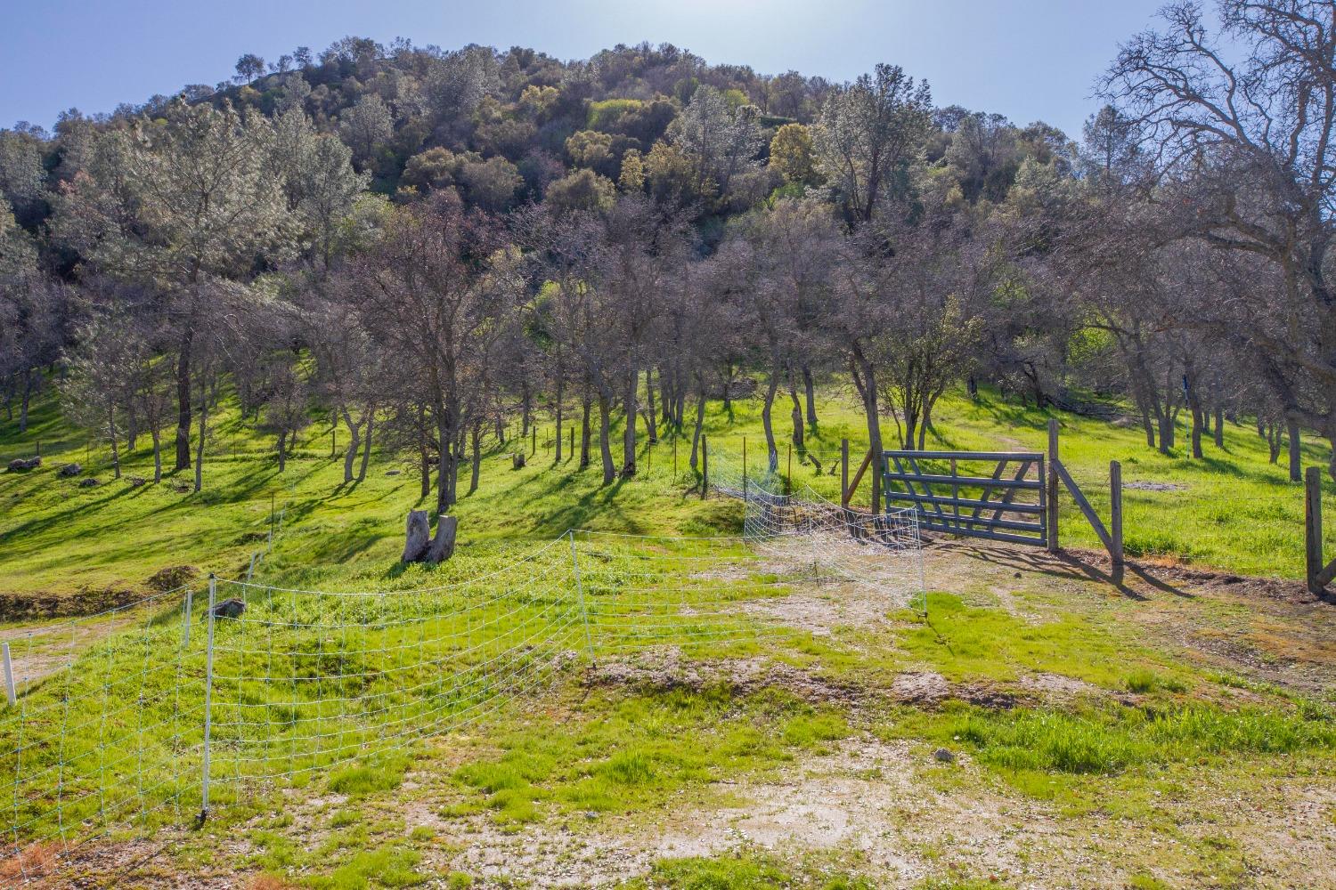 0 Apn Road, Unit 13836007 Clovis, CA 93619 - Photo 37 of 65 a view of yard with swimming pool and trees