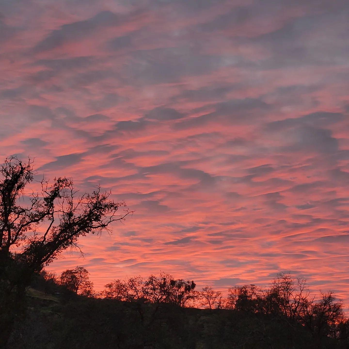 0 Apn Road, Unit 13836007 Clovis, CA 93619 - Photo 47 of 65 a view of sunset