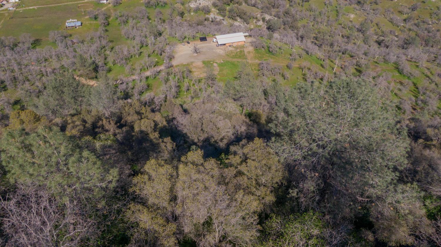 0 Apn Road, Unit 13836007 Clovis, CA 93619 - Photo 55 of 65 a view of a forest with a dry yard