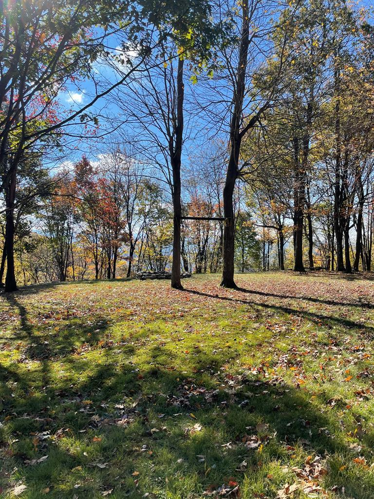 Fleegle Road Schellsburg, PA 15559 - Photo 1 of 20