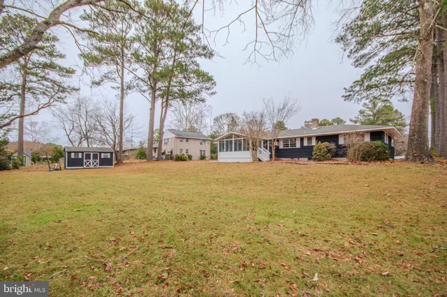 a view of a yard with snow on the roadside