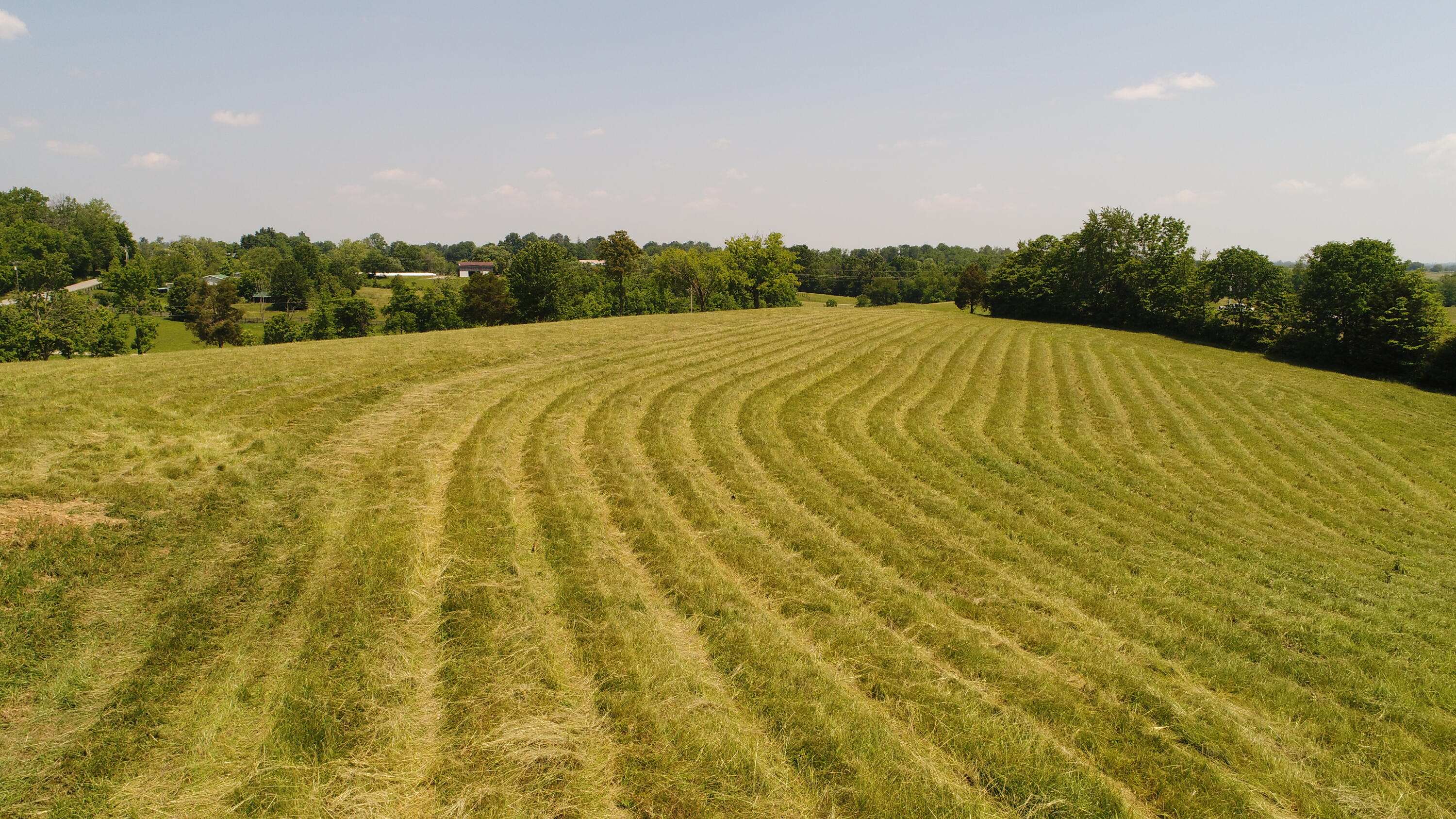 Tract D Hopewell Road Harrodsburg, KY 40330 - Photo 11 of 18 DJI_0083