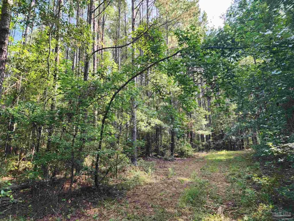 $42,500 | 0 Lowery Road, Unit LOT #10, Atmore, AL 36502